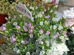 -循礼门鲜花花市(武汉循礼门店)