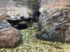 -上海海洋水族馆