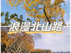 -北山街历史文化街区