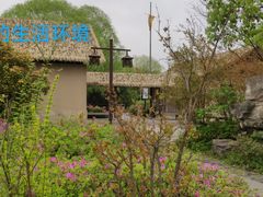 -苏州太湖国家湿地公园