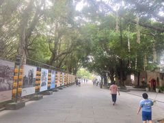 -观澜湖旅游度假区