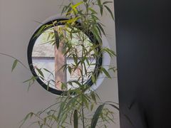 -古耳咖啡(北锣店)