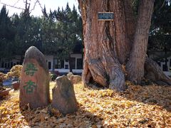 -苏州文庙(姑苏区)