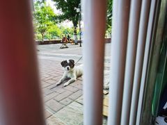 -平行世界·猫咖(首经贸店)