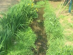-白水寺森林公园