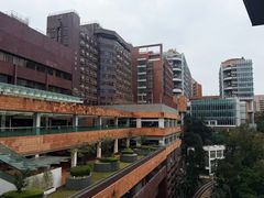 -香港大学