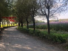 -北纬44度·金珠花海休闲农业旅游景区