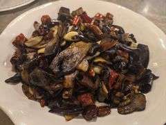 -易门野生菌府·菌海森林(月牙潭公园店)