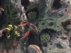 -苏州海洋馆