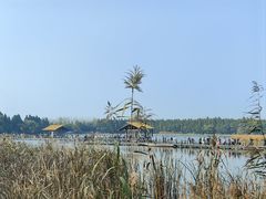 -溱湖国家湿地公园