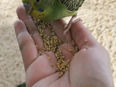 -昆明大悦城未来动物城(螺蛳湾中心店)