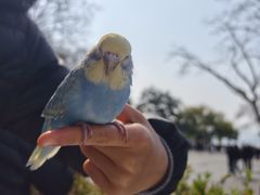 -满记甜品(湖滨店)