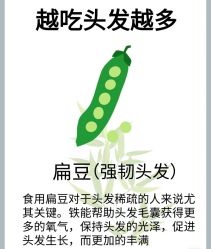 -诗碧曼·头疗养发馆