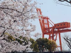 -龙美术馆(西岸馆)