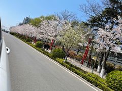 -青岛海尔洲际酒店