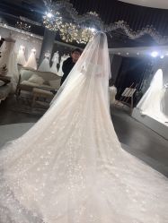 点击看大图 -艾米丽婚纱礼服