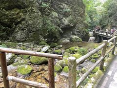 -牛背梁国家森林公园
