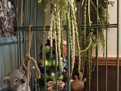 -春风·有糖(崇宁路店)