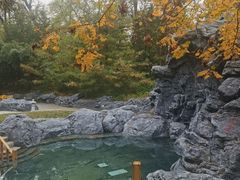 -和园景逸大酒店朗月汤泉