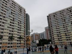 -彩虹村