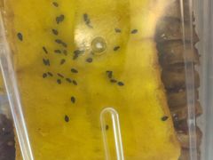 -前王院•巧克力海鲜市集餐厅(万平口店)