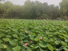 -莲池书院博物馆