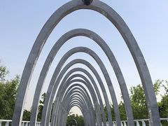 -大兴滨河森林公园