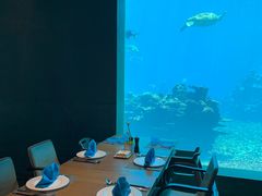 -海棠湾洲际-涛·海底餐厅·美人鱼·自助餐·海底隧道
