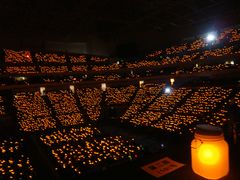 场馆-南京奥林匹克体育中心-体育馆