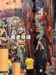 -卡通尼·Safari非洲探索乐园·生日会(金桥国际商业广场店)