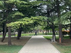-石家庄市植物园