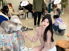 -共舞时光猫咖·狗咖(新街口店)