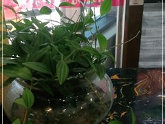 -老海陵·泰州菜(图书馆店)