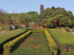 -红花山公园