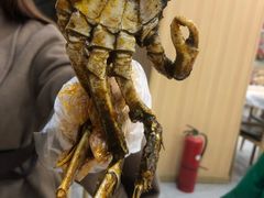 -江城燕子大排档(江汉路步行街店)