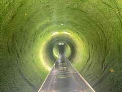 -黄金寨原生态旅游区