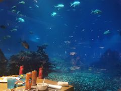 -海棠湾洲际-涛·海底餐厅·美人鱼·自助餐·海底隧道