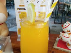 -柴犬高等学院·狗咖·柴犬售卖·宠物训练