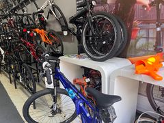 -道路口单车爱瓦士dahon大行