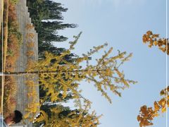 -永定河休闲森林公园