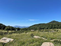 -白草畔自然风景区