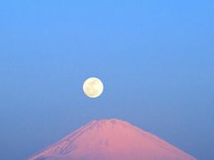 -佛山市图书馆(祖庙路分馆)