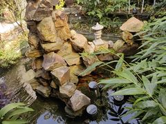 -水岸居湖景农家乐·阳澄湖大闸蟹