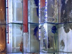 -林记海鲜排档·十年海鲜地标