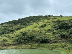 -大姆山草场
