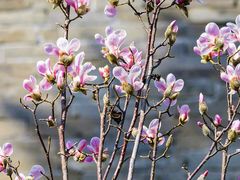 -东华门大街小区