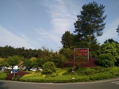 -铁山坪森林公园