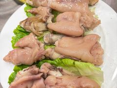 -丁老爷子苏香圆