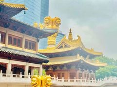 -上海东林寺(金山区)