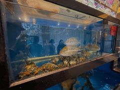 -华盛丰温州大排档(东三环南路店)